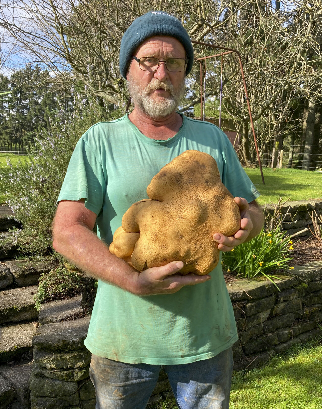 Meet Doug, the Ugly New Zealand Potato That Might Be the World's Biggest New Zealand giant potato